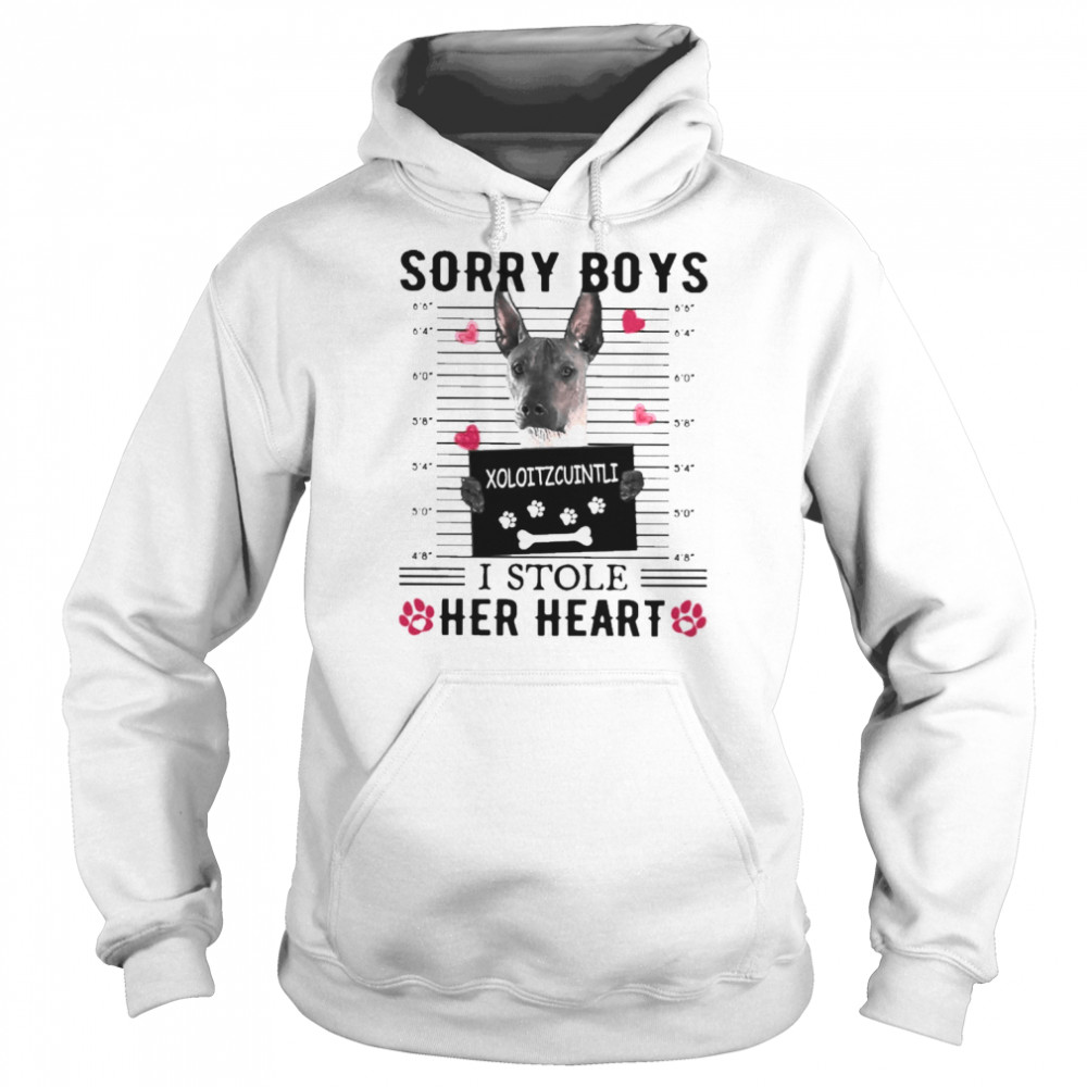 Xoloitzcuintli Sorry Boys I Stole Her Heart Shirt Unisex Hoodie