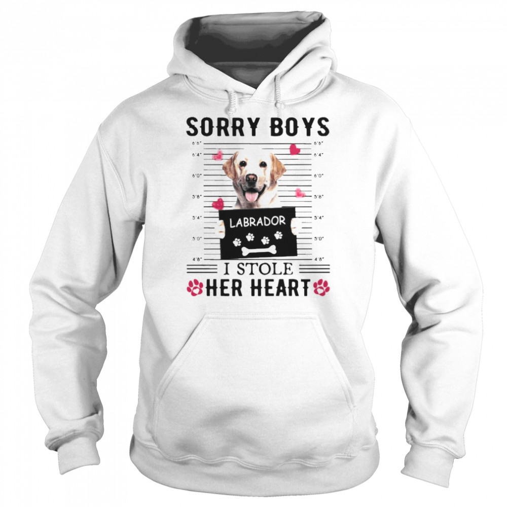 YELLOW Labrador Sorry Boys I Stole Her Heart Shirt Unisex Hoodie