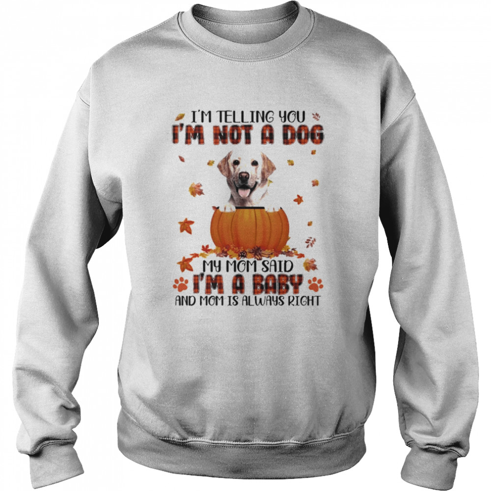 Autumn Baby Yellow Labrador Halloween I’m Telling You I’m Not A Dog My Mom Said I’m A Baby And Mom Is Always Right Shirt Unisex Sweatshirt