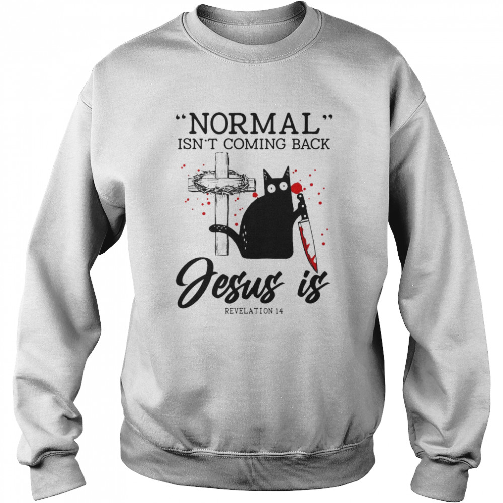 Black Cat Normal Isn’t Coming Back Jesus Is Revelation 14 Shirt Unisex Sweatshirt