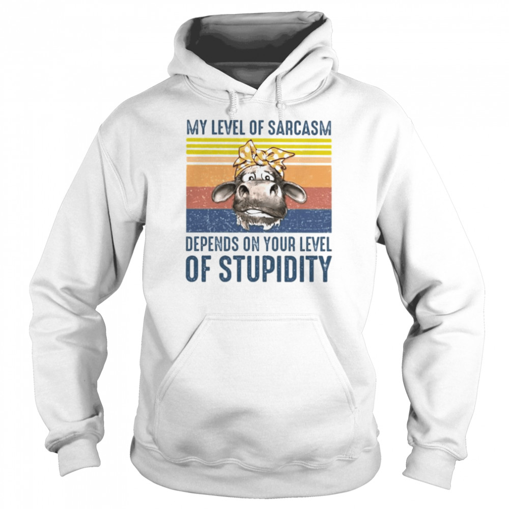 My level of sarcasm depends on your level of stupidity vintage  Unisex Hoodie