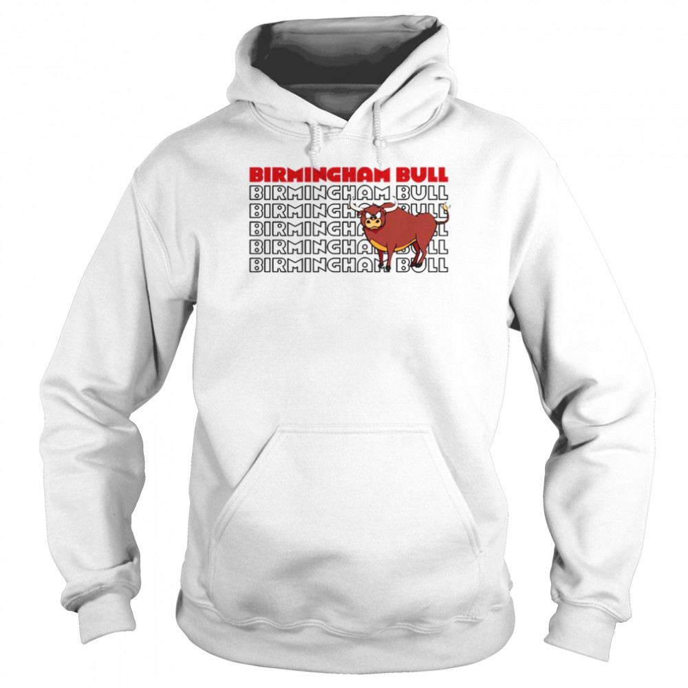 Text Design Birmingham Bull  Unisex Hoodie