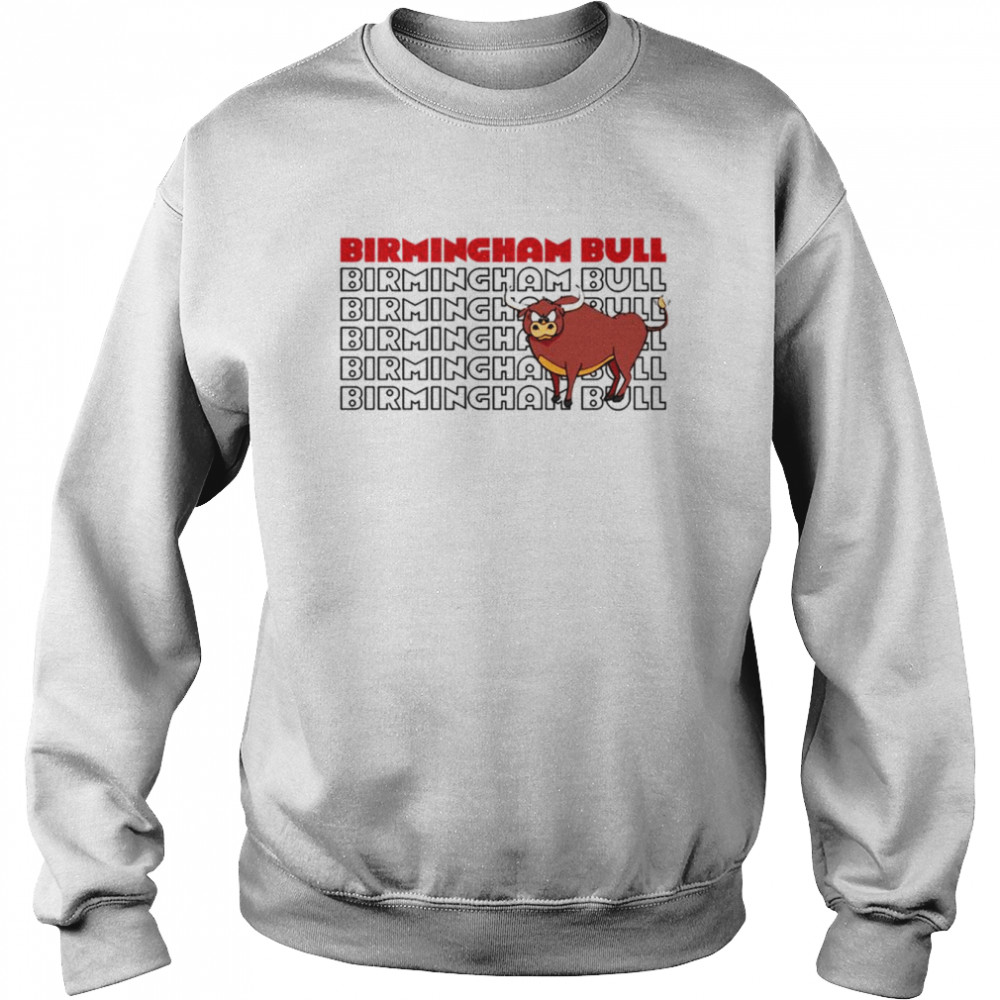 Text Design Birmingham Bull  Unisex Sweatshirt