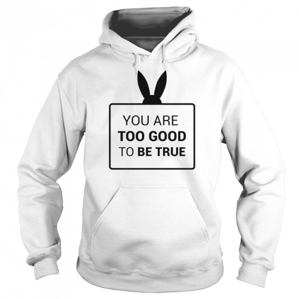 You Are Too Good To Be True  Unisex Hoodie