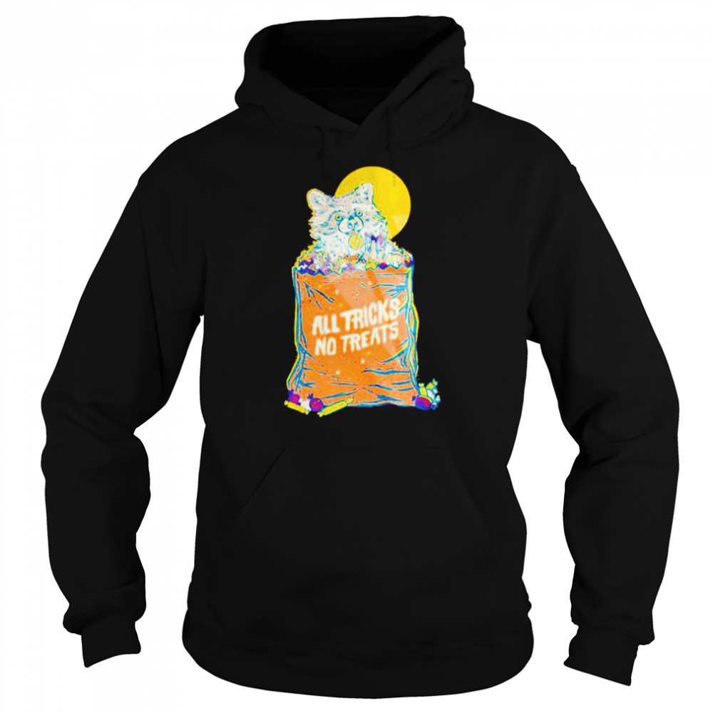 All tricks no treats raccoon  Unisex Hoodie