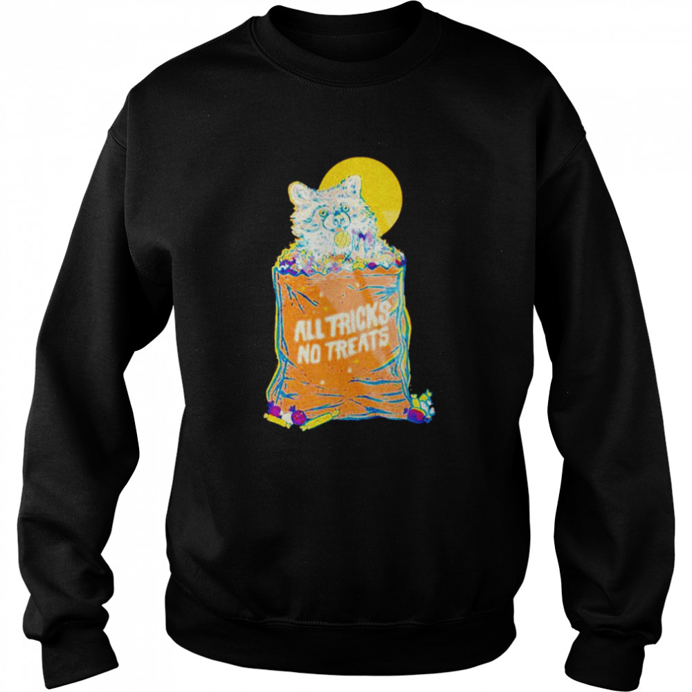 All tricks no treats raccoon  Unisex Sweatshirt