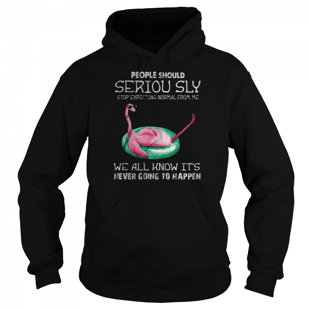 People Should Seriously Stop Expecting Normal From Me Flamingo  Unisex Hoodie