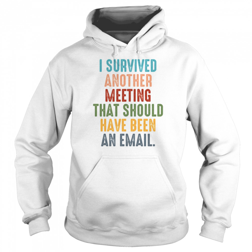 Retro I Survived Another Meeting That Should Have Been An Email  Unisex Hoodie