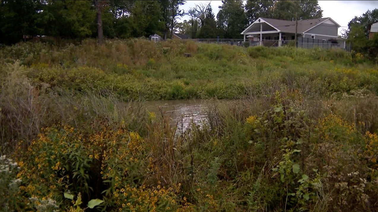 Sergio Brown's mother was found near a creek behind her home in a Chicago suburb, police said.